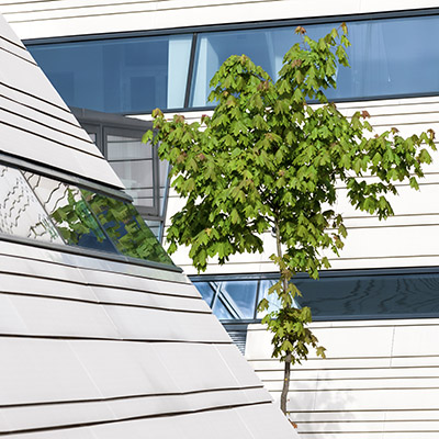 Steel Frame building and House in Brisbane